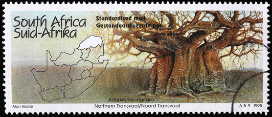 Giant baobab on postage stamp from South Africa - obrazy, fototapety, plakaty