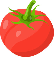 red tomato vector illustration