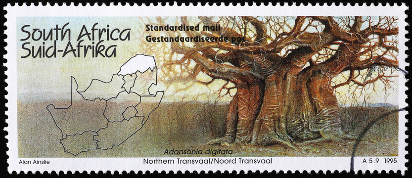 Giant baobab on postage stamp from South Africa