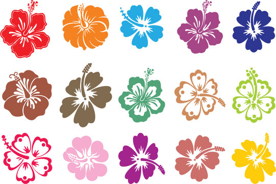 Colorful hibiscus flower silhouette set. Hibiscus flower editable vector illustration. Easy to change color or manipulate. eps 10