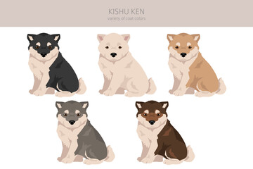 Kishu Ken puppy clipart. Different poses, coat colors set