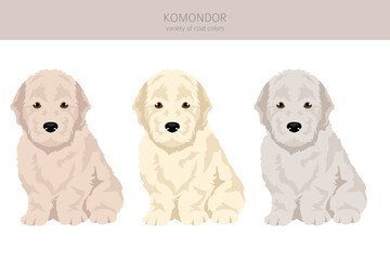 Komondor puppy  clipart. Different poses, coat colors set