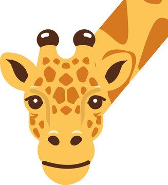 Cute Giraffe Animal head vector