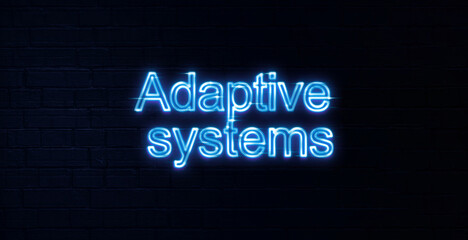 neon sign adaptive systems text