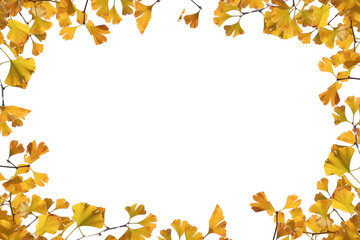 autumn leaves frame frame