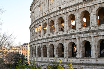  View of Colosseum in Rome, Italy. Rome architecture and landmark. Rome Colosseum is one of the main attractions of Rome and Italy