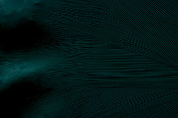 Teal abstract plastic foil background with 3d effect and bubbles