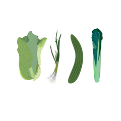 Vector greens. Healthy food vector illustration. Green vegetables, cabbage, cucumber, onion. Vegan