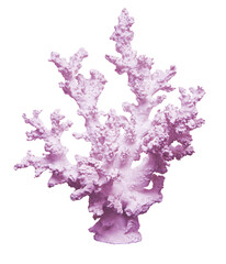 light coral isolated