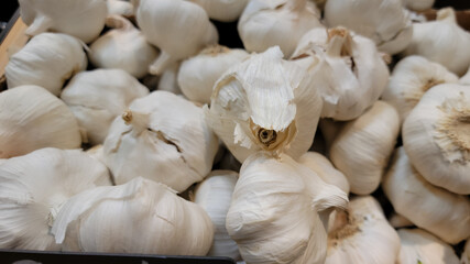 Fresh white onions on the market.