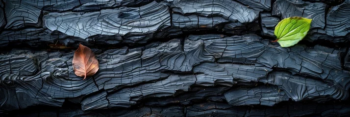 Tuinposter Burning wood charcoal background, charred wood texture, burnt wood background and blackened wood grain. Burning wood coal - carbon fiber © Colourful-background