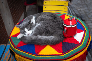 The cute cat sleeping on the colorful table on terrace of restaurant in Istanbul Turkey. Street cat.