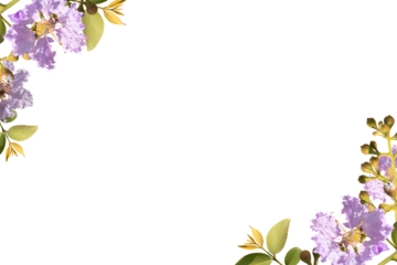 lilac flower frame isolated