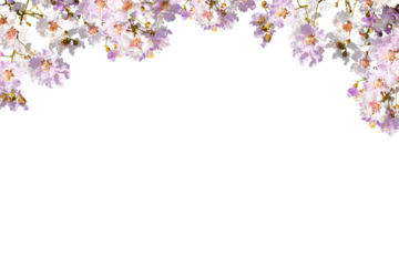 Lilac flowers frame isolated