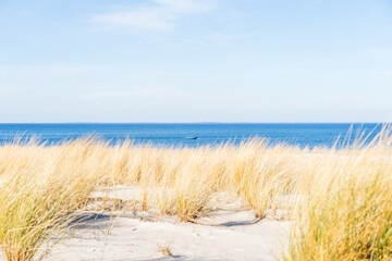 Dune landscape at the baltic sea in Lubmin with ocean in the background and a small fisher boat on...