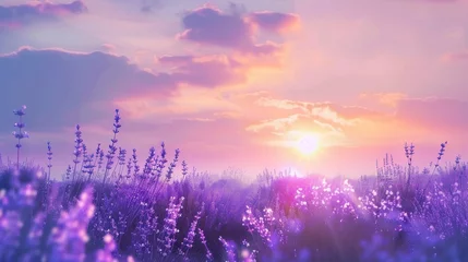 Rolgordijnen Ethereal Lavender Field at Sunset Anime Background. © CommerceAI