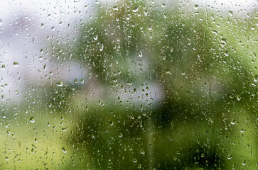 texture of a drop of rain on a glass on a background of green leaves of a tree