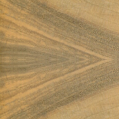 Fototapeta premium Walnut wood, can be used as background, wood grain texture