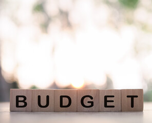 Wooden blocks with the word BUDGET. The concept about budget planning and allocation