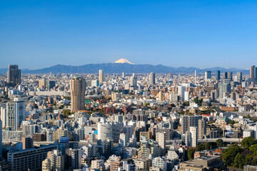 東京都 東京タワーから見る快晴の東京と富士山