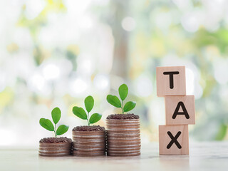 Wooden blocks with the word TAX and plants growing up on stack of coins. The concept about saving...