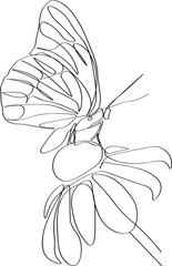 Beautiful Echinacea flower with butterfly. Continuous drawing of lines.