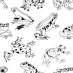Fototapeta premium Various Frogs Seamless Background