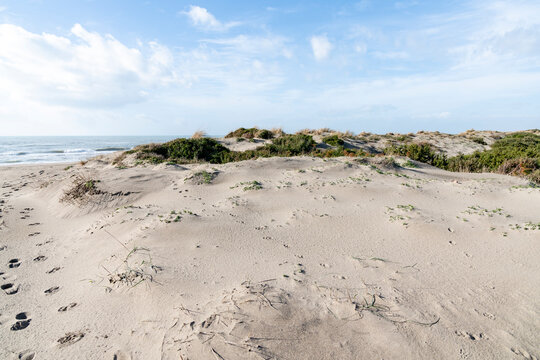 image of sand dunes and Mediterranean vegetation