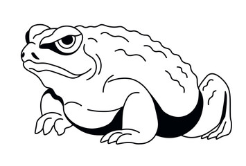 Stoic Frog Vector Design