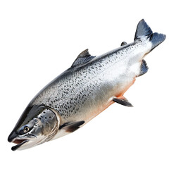Naklejka premium Salmon fish isolated on transparent background Generative Ai 