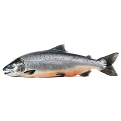 Salmon fish isolated on transparent background Generative Ai 