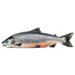 Naklejka premium Salmon fish isolated on transparent background Generative Ai 