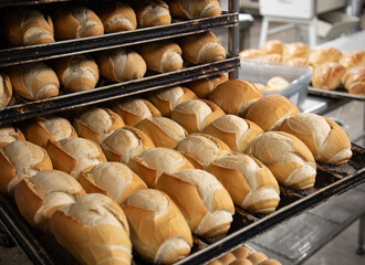 French bread in production inside the bakery