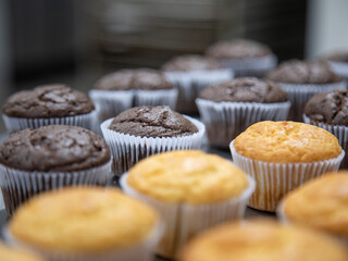 cupcake production inside the bakery