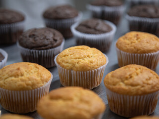 cupcake production inside the bakery