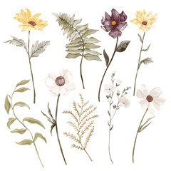 Autumn flowers and green leaves