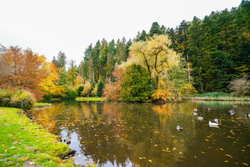 Fototapeta na wymiar Landscape at the forest lake near Haslach in the Kinzigtal. Nature in autumn by the lake. 