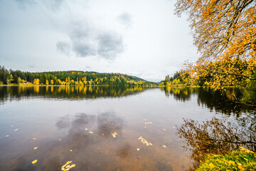 Landscape at the Windgfällweiher near Lenzkirch in the Black Forest. Nature by the lake in autumn.
