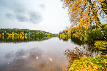 Landscape at the Windgfällweiher near Lenzkirch in the Black Forest. Nature by the lake in autumn.
 - obrazy, fototapety, plakaty