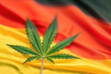 Fototapeta na wymiar A single cannabis leaf over a rippling German flag background.