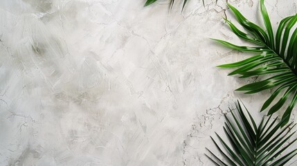 Whitewashed concrete background with tropical palm leaves. The perfect backdrop for your next summer soiree.