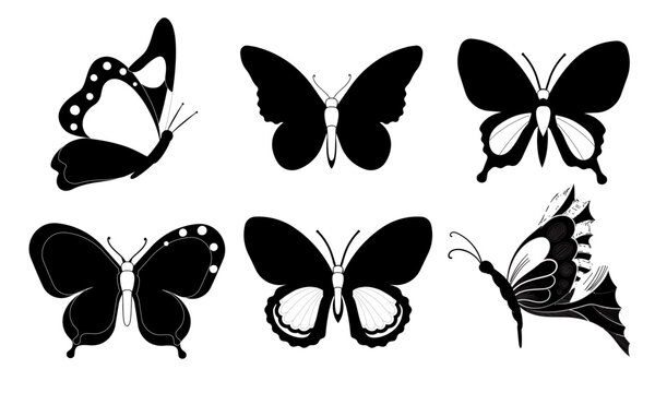 Butterfly icon graphic black white isolated sketch illustration vector. Modern seamless pattern of monarch butterfly contours on white background