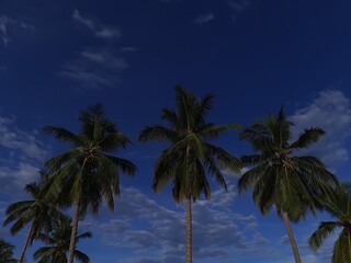 Fototapeta premium A group of coconut trees with a blue sky in the background.