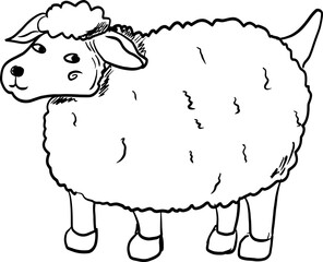 sketch sheep hand drawn