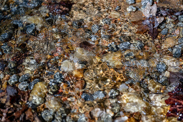 stream