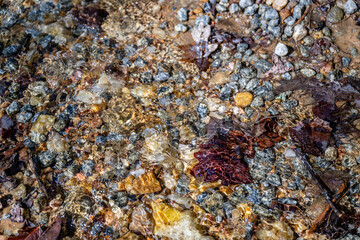 rocks in a stream