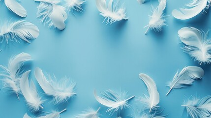 Feathers on a Blue background suitable for design