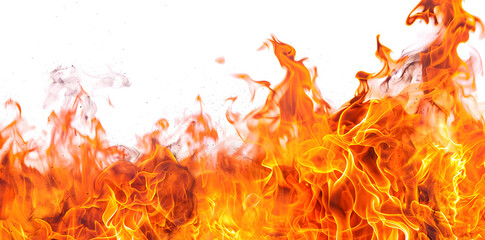 Fire blazes with intense heat isolated on white