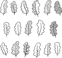 Collection of simple decorative oak leaves. Linear hand drawn vector illustration.