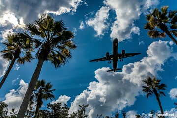 Obraz premium Airplane against bright sky and palm trees 